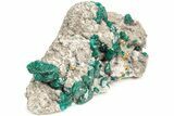 Sparkling Dioptase and Mimetite on Dolomite - N'tola Mine, Congo #209694-1